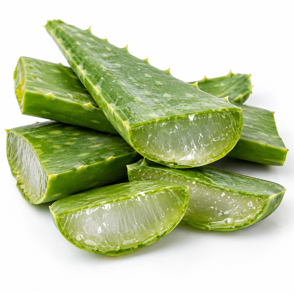 Aloe Vera (Ghritkumari)