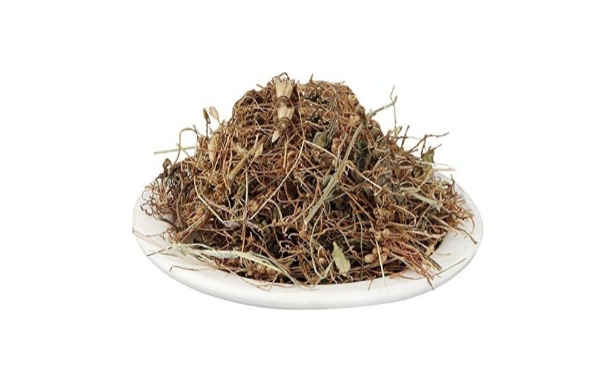 Amarbel (Dodder)