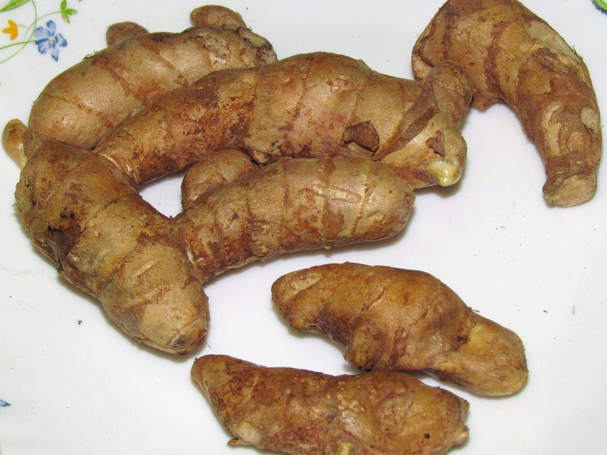 Mango Ginger (Amba Haldi)