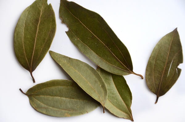 Bay Leaf (Tejpatta)