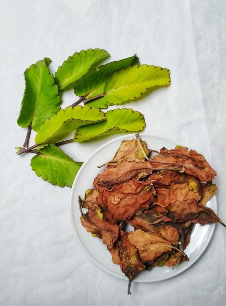 Bhasam Patti (Patharchatta)