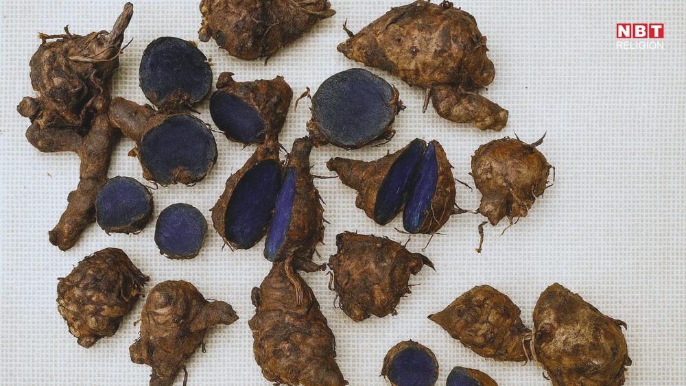 Black Turmeric (Kali Haldi)
