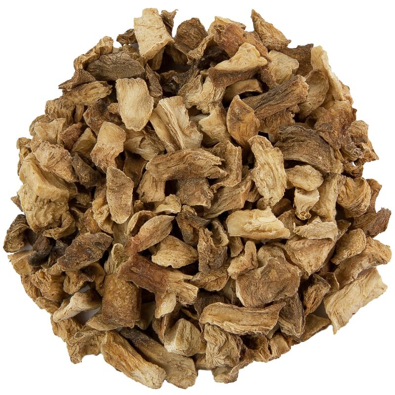 Chicory (Kasani)
