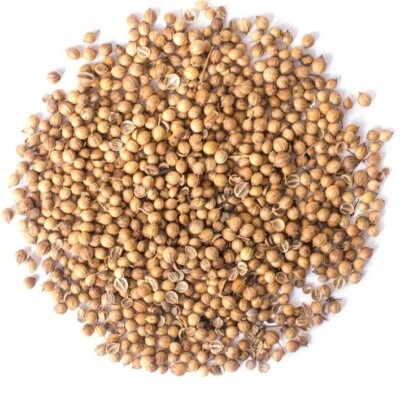 Coriander (Dhania)