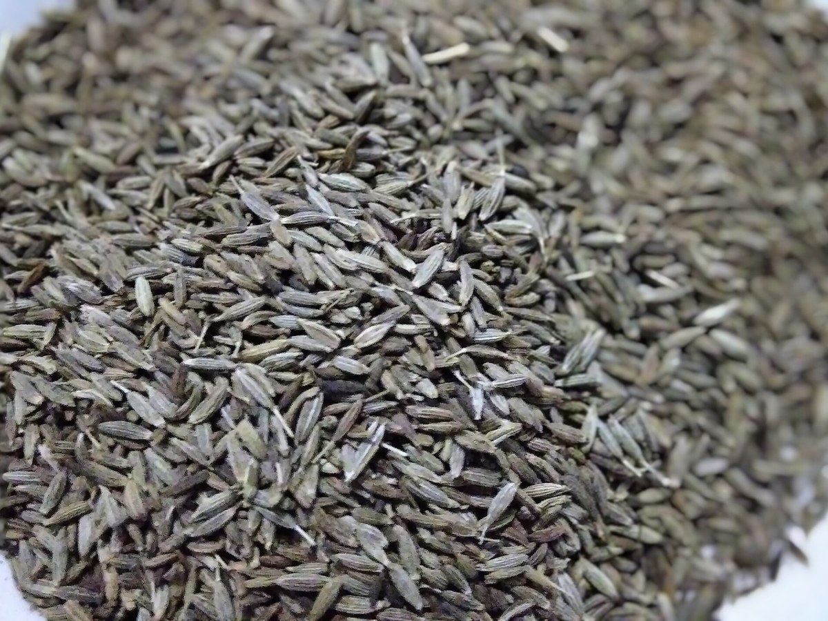 Cumin (Jeera)