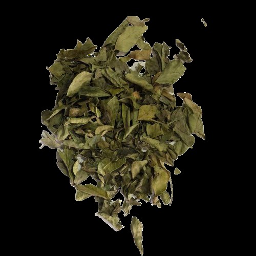 Curry Leaf (Kari Patta)