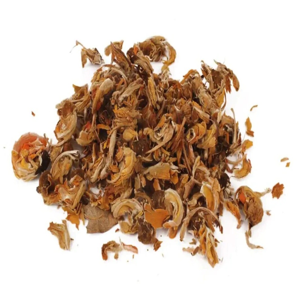 Dhak (Palash)