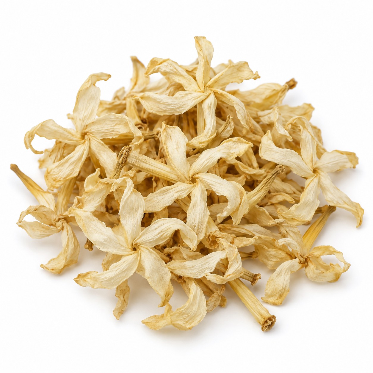 Dhoodh Mogra (Pinwheel Flower)
