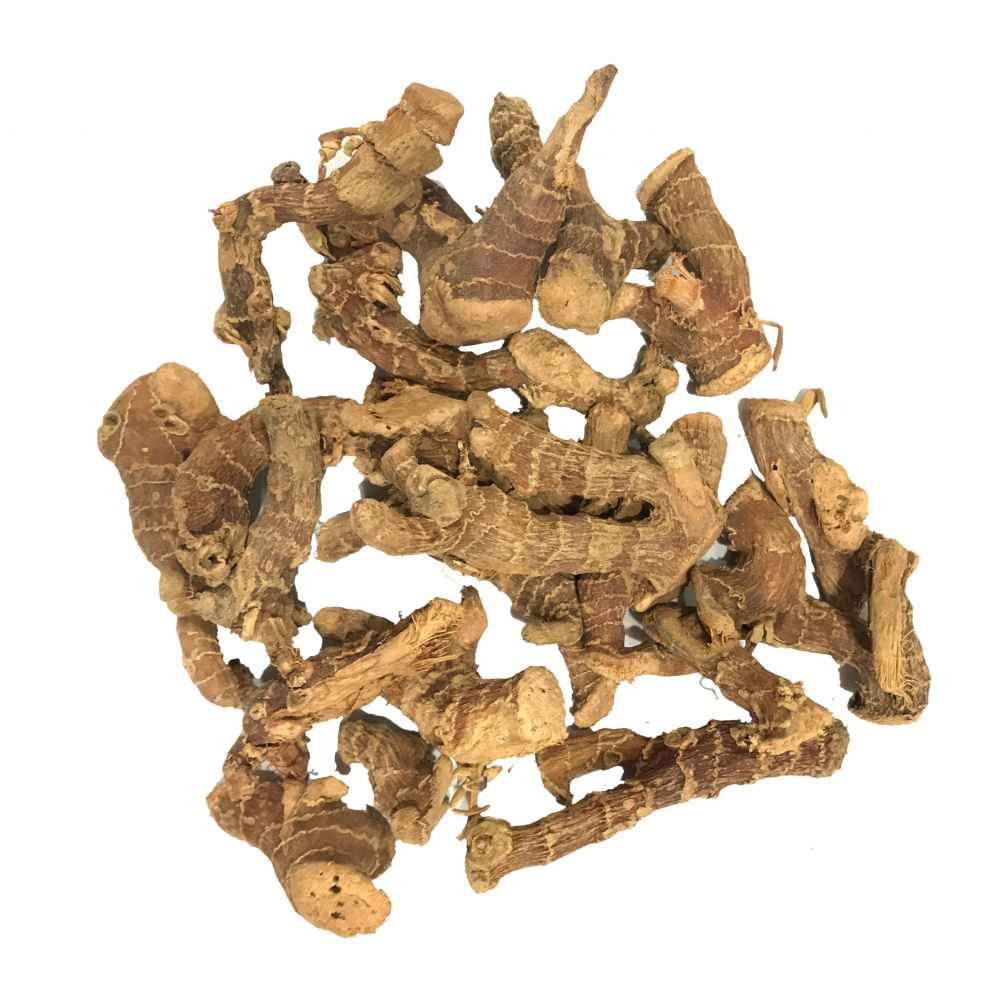 Galangal (Kulanjan)