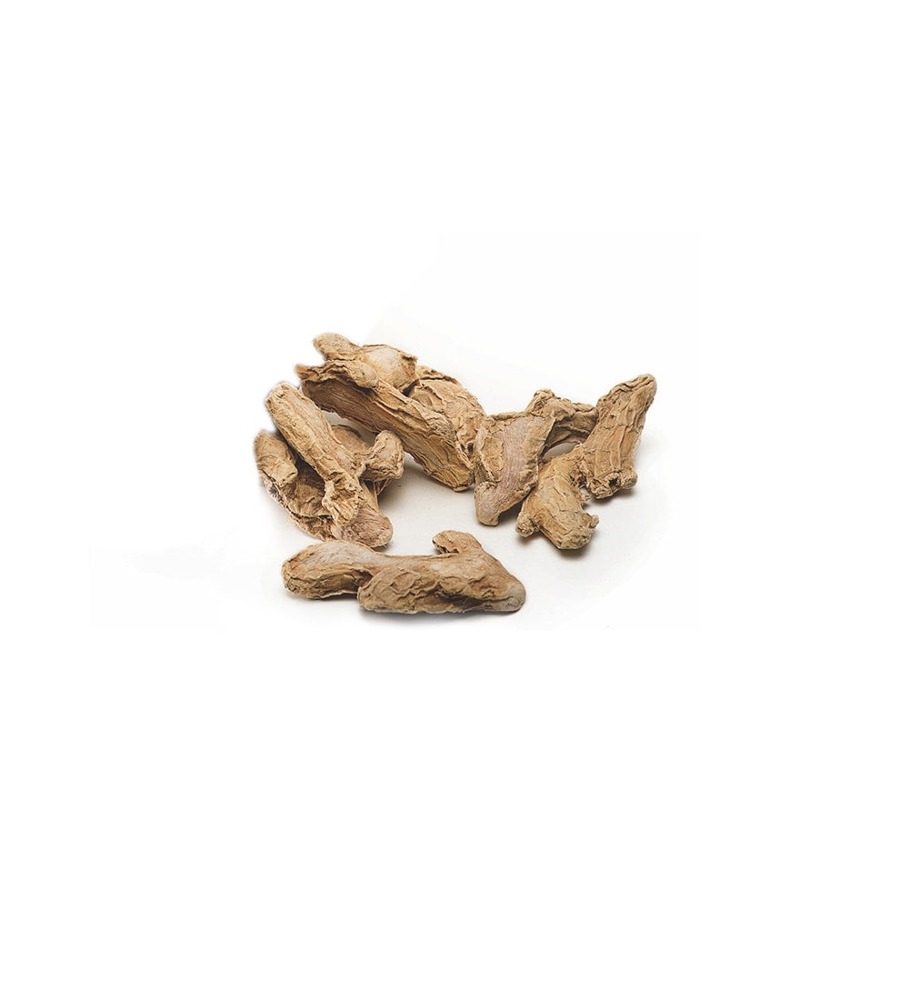 Ginger (Sonth)