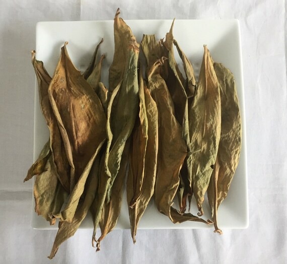 Indrayan (Insulin Plant)