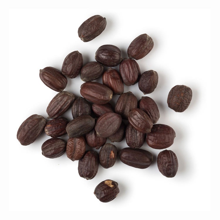 Jojoba