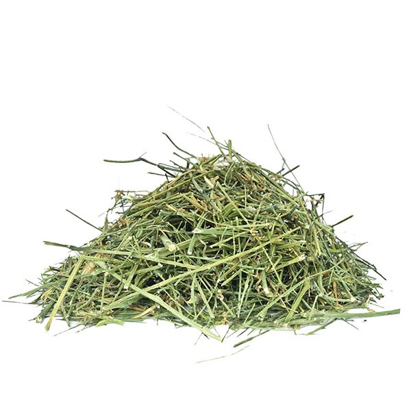 Kalmegh