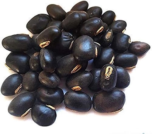 Kaunch (Mucuna)