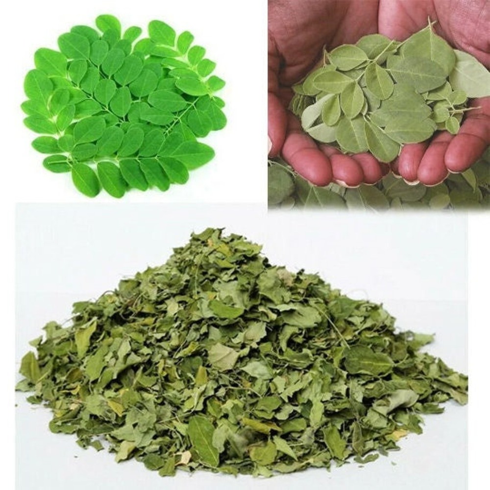 Moringa