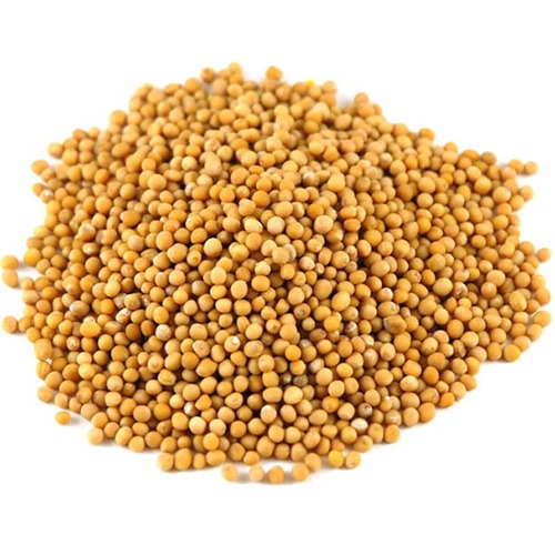 Mustard (Rai)