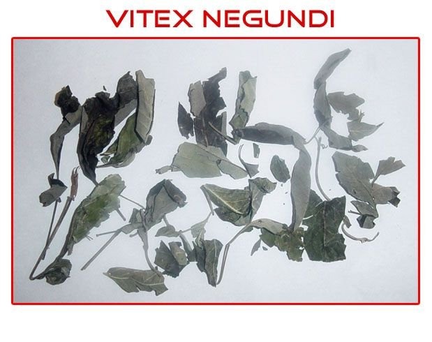Nirgundi
