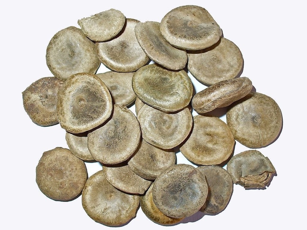 Nux Vomica (Kuchla)