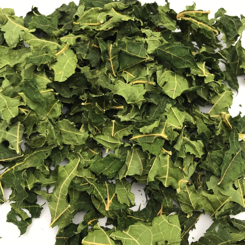 Papaya leaf