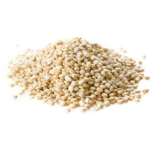 Quinoa