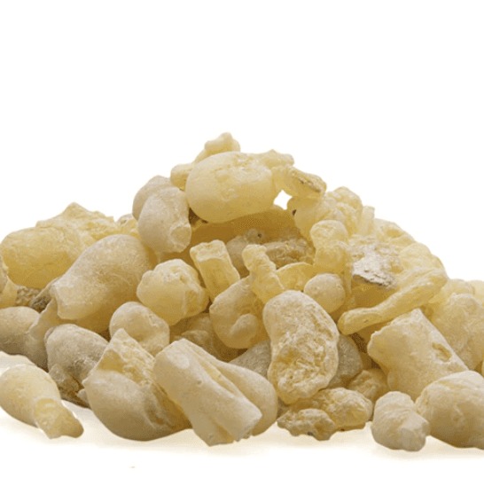 Salai (Indian Frankincense)