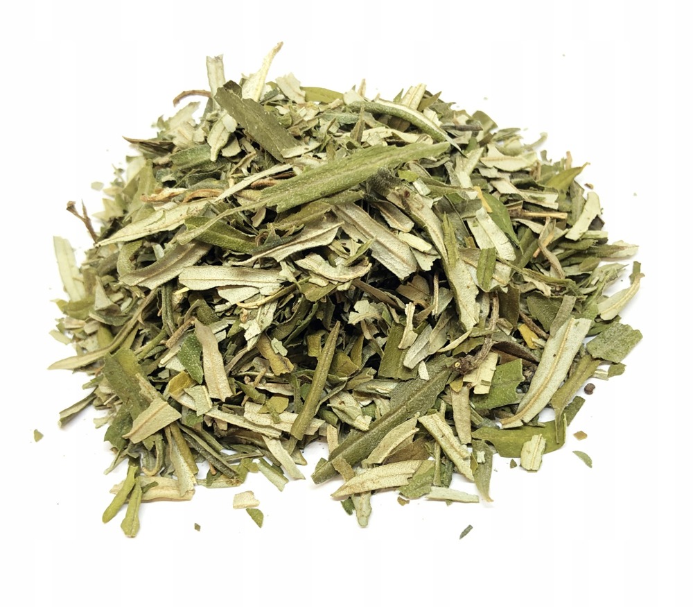 Sea Buckthorn Leaves