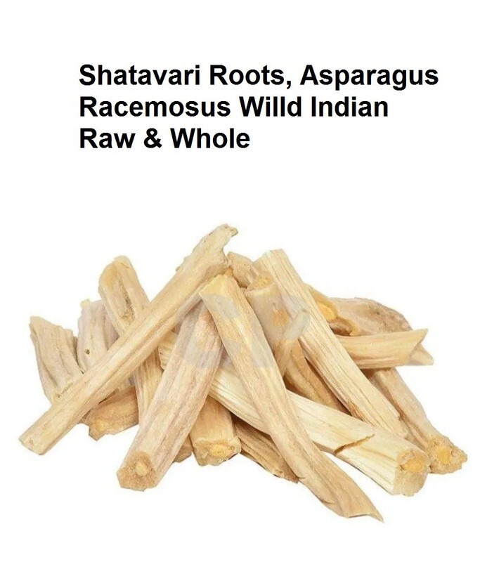 Shatavari