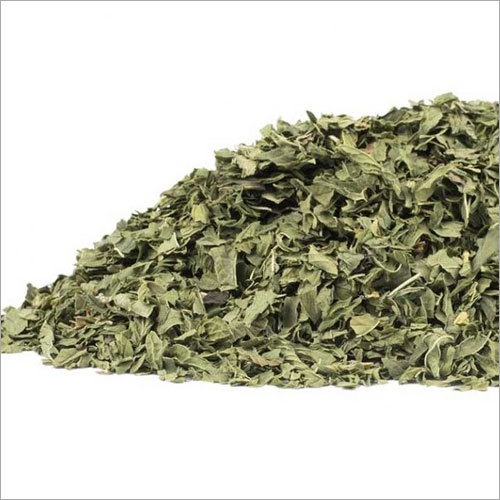 Spearmint