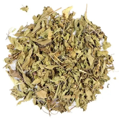 Tulsi (Holy Basil)